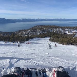 Meet your Posher, Radley